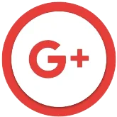 Google icon